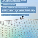 Защитно-улавливающая сетка (ЗУС) Промышленник защитно-улавливающая сетка 3,5х12 м фото 3