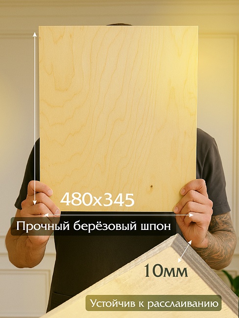 Фанера Промышленник 485х345х10мм, береза, упаковка 5 шт фото 2