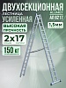 Лестница двухсекционная Ал 6217